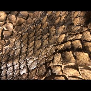 Gucci hobo large python purse